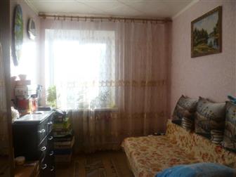      1999 ,    ,  ,   ,    84 , ,  4 : 20,6 ,  , , 8,7 ,  --