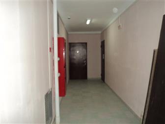  1 -          , 
  ,       ,  --