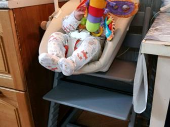             Stokke Tripp Trapp, : /  --