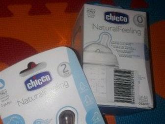     Chicco     ,       !      ,   --