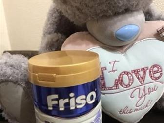     Friso PEP  800 ,     21 :   --