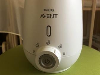       Philips Avent,    ,   , : /  --