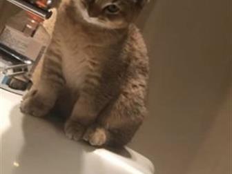      ,   ,      ,   ,  ??      ,    --
