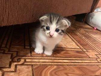    , 4   ,    ,   ,    ,      