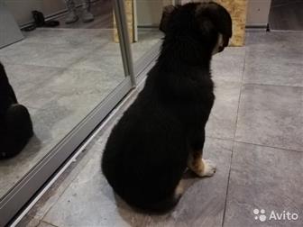     ,   2 ,    ,    ,    ,   ,     