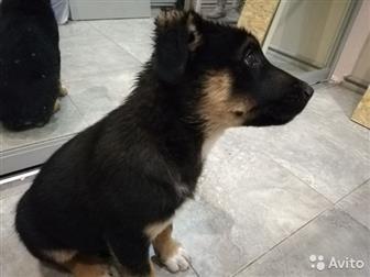     ,   2 ,    ,    ,    ,   ,     