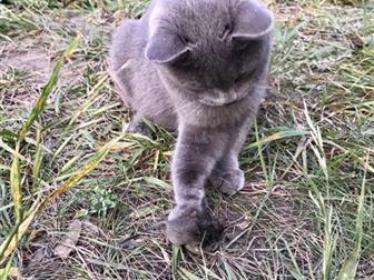     ,   ,   !    ,   ,     ,    !  ,  