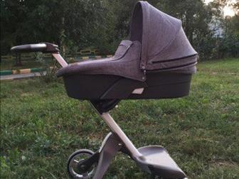   stokke explory 21,    ,        ,   ,  ,  