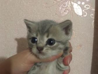   ,    ,  ,  !      