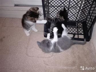 ,   ,     ,  ,     ,  ,  ,  ,    ,  