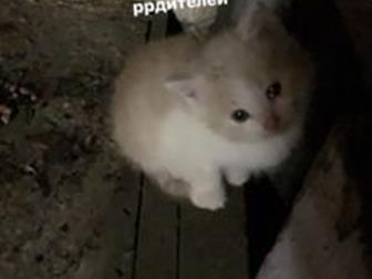  ,      , ,    !!  