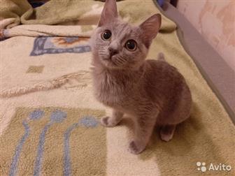           5 ,   ,   ,    ,    ,    