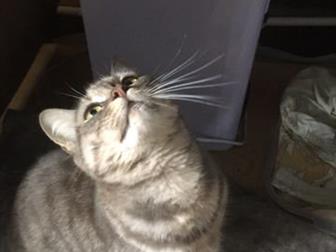    ,6 ,  ,  ,  