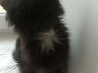  , 3 ,     ! ,    !          