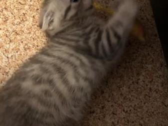 , 2 ,   ,  ,  