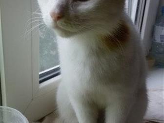  ,  2 ,   , ,   (    ),   ,   ,    ,   ,  