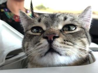 , ,    !  ,   ,    !     ,       -  