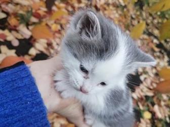    -, -  -   ,    ,      : , ,   !   