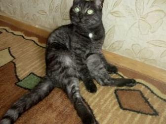         , 7 , ,    ,    ,   )))  )))  