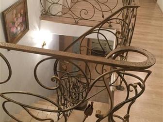   ,   ,  () ,  ,    ,     25 ,  20     