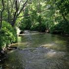 ��� 60 �? �� ������� 8 ���.