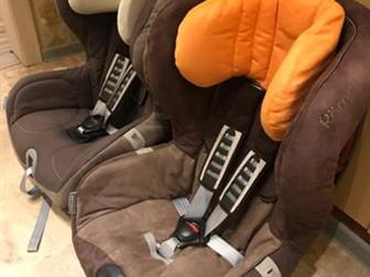  Remer King plus 9-18    5000?,   -2000(  ,         ), P, S:   -