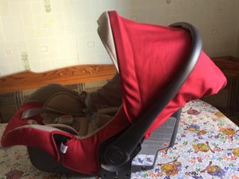   inglesina,   ,  !: /  -