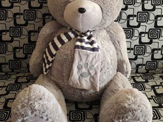    Teddy   ( 80/120  ), :   -