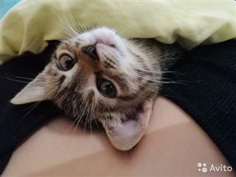 ,  1,5 ,    ,    ,  -