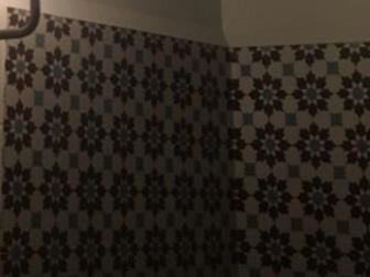 ������� ��������� ������ cezzle �� �������, 12 ����, 200�200�14��������� � �� ����� � �� ���,150?/�� � �����-����������