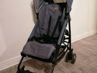   - Peg Perego Pliko Mini   ,    2 ,    ,     ,    -