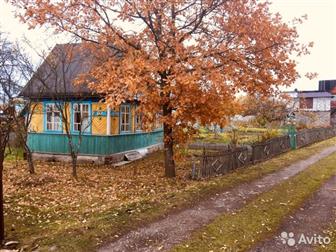 ��������� ������� ���, � ��������� �������� 12 �����,  �� ������ �� ���,  ����� �����������!  ���� ������������� �� ����������� �����, � �������� �����,  ������ � �����-����������