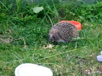 �������� ������� � ����� � ���������� ����� �������� �� ������ �����-����������, � 15 �� �� �������� � � 3 �� �� ���,  �������� ����� ������� � ����������� ����������� � �����-����������