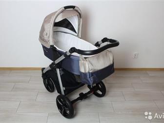    Bebetto Niko Plus   21,     ,        6 ,    ,  -