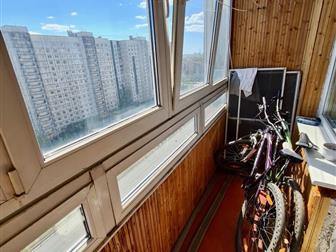 ������ �����-��������� ���� ��������