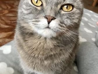      ,   ,   ,  ,      ,    -  :)  