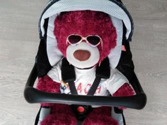   young profi plus recaro   isofix, : /  