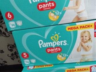   ????????,      pampers pants :                                                                       