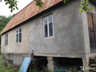  : 559269 -    ,       (  )         25 ,  