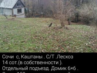  : 562955 -    ,     14  ( ) ,   ,   
/ ,   ,  
