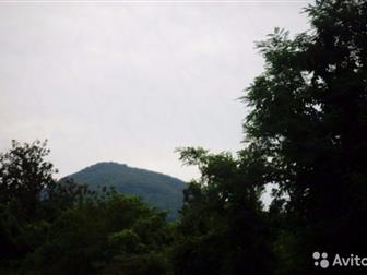  : 575500 -    ,       (  ), 5  ( -), 5 ,    (,  