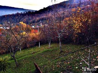  : 582751 -    ,    ,     ,        Sky park,    