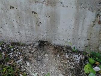  : 582989 -    ,    :5 ,   5,5 , ,     , ,   