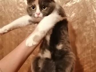     ,  1   6  ,    ,   , , ,  