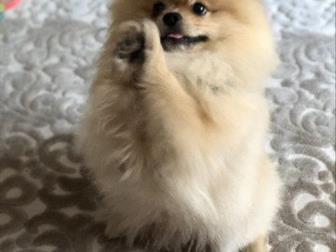     !!!  3 ,    -   !!!!  