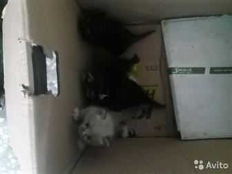  1, 5    ,   ,     ,  