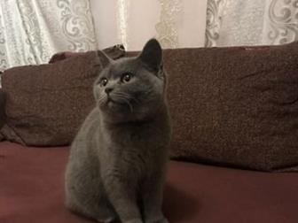   ,   ,    ,   ,      ,  