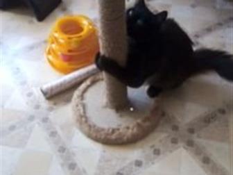  , , ,,,   ,   ,  