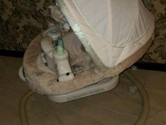 - GRACO Sweetpeace -  ,        ,  GRACO Sweetpeace   