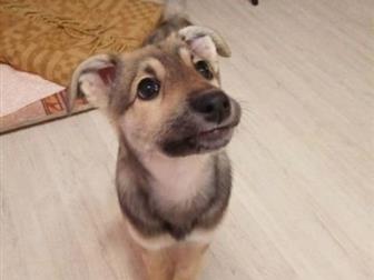 !      !        ,      , , ,    